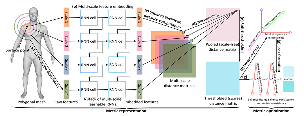 A Unified Deep Metric Representation for Mesh Saliency Detection and Non-rigid Shape Matching